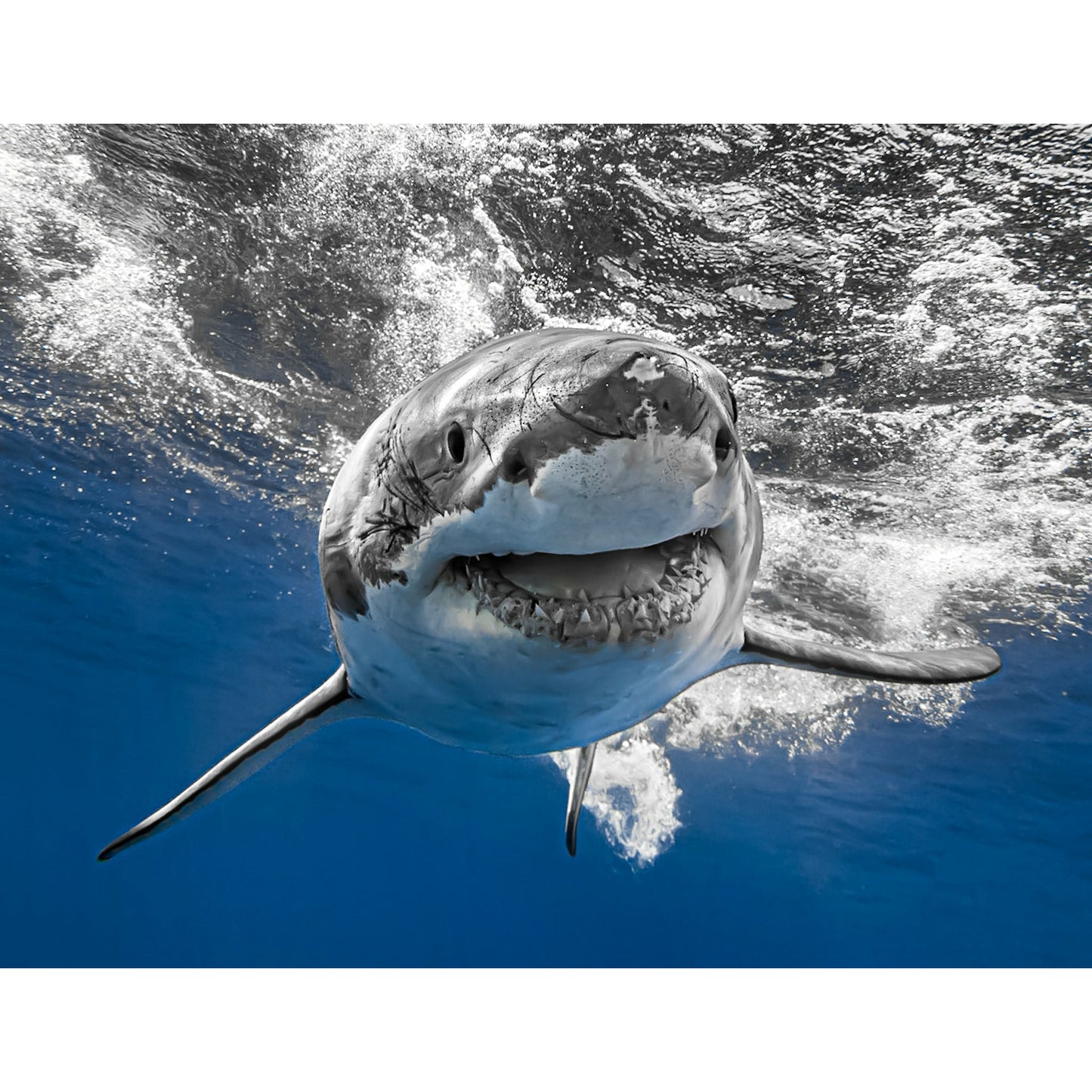 La sonrisa de un incomprendido